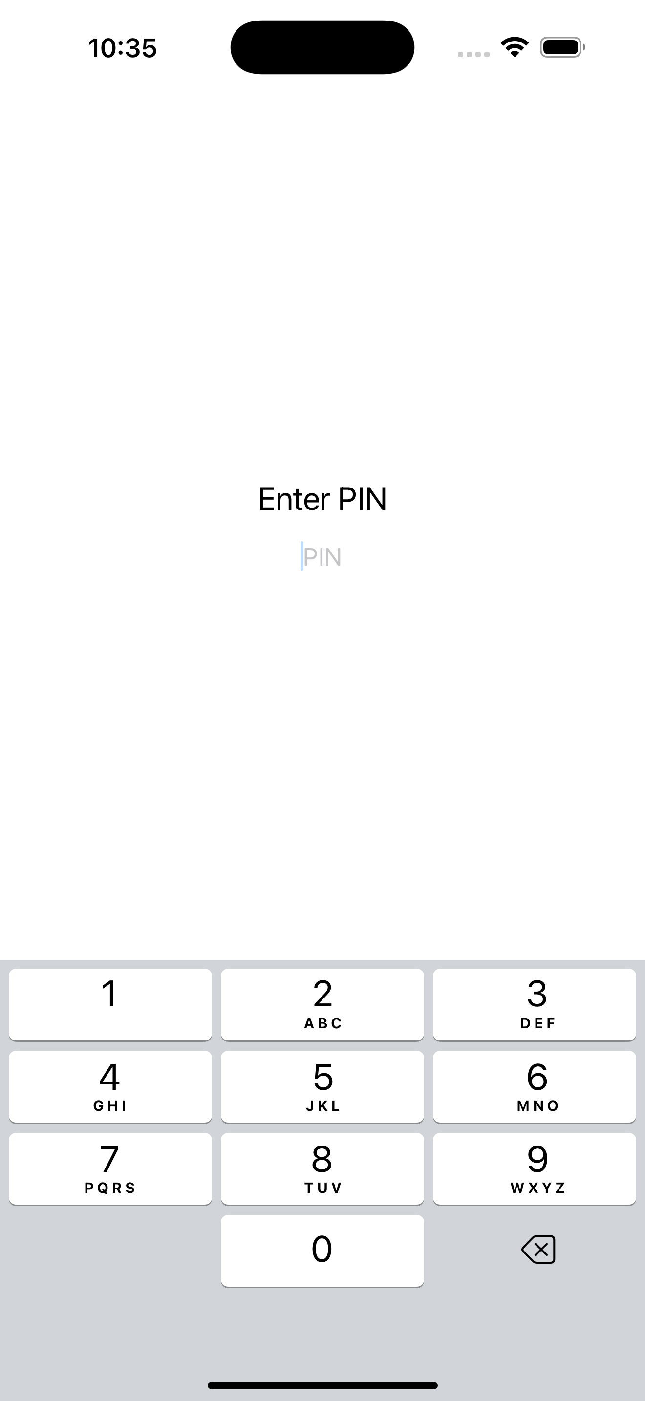 PIN Entry Screen
